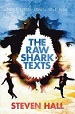 The Raw Shark Texts - Steven Hall